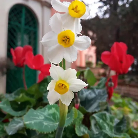 Bed & Breakfast Torre Ferrantina De Charme Lecce
